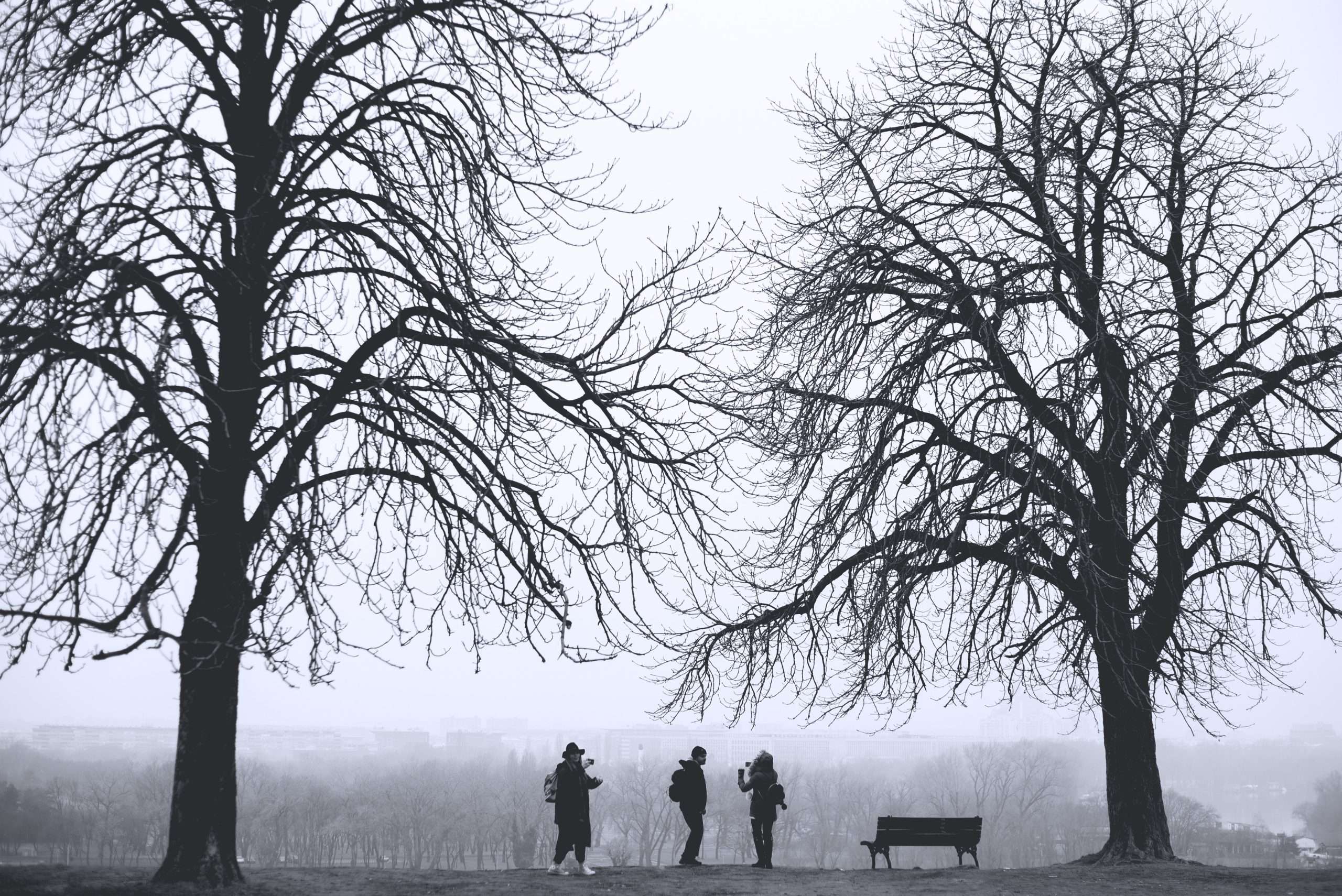 Drei Leute zwischen zwei Bäumen im Nebel.